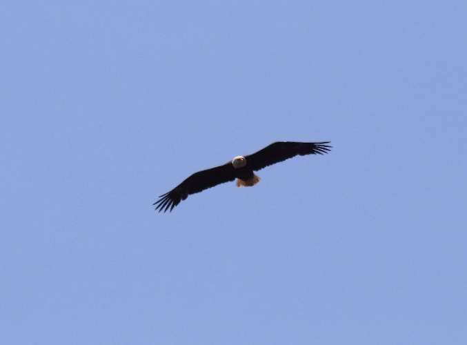 2019 05 08 HTP 90359e